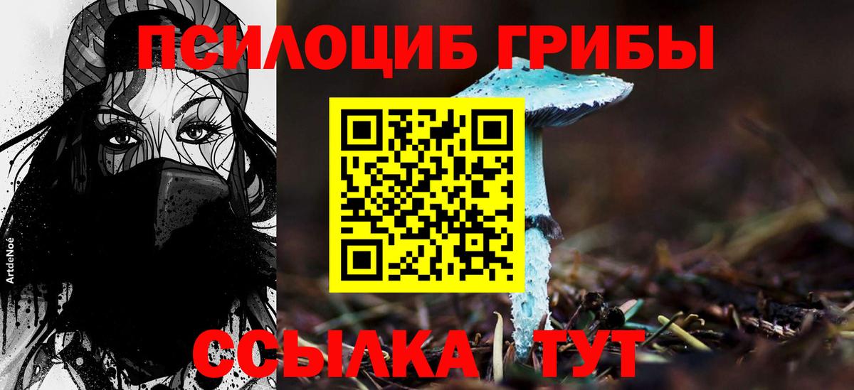 Железногорск  Галлюциногенные грибы MAGIC MUSHROOMS  Вход с VPN 